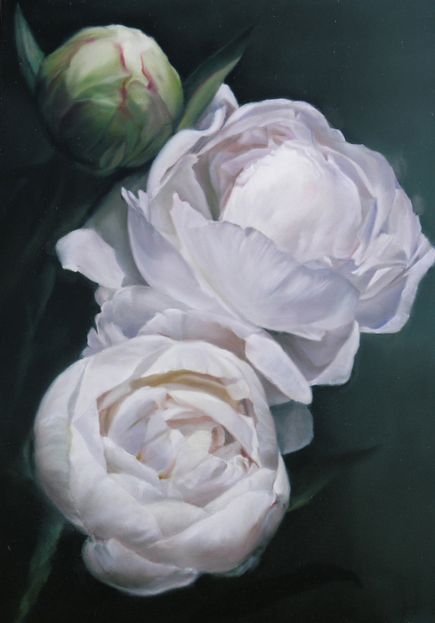 Peonies 2'1'' X 3' by Thomas Darnell