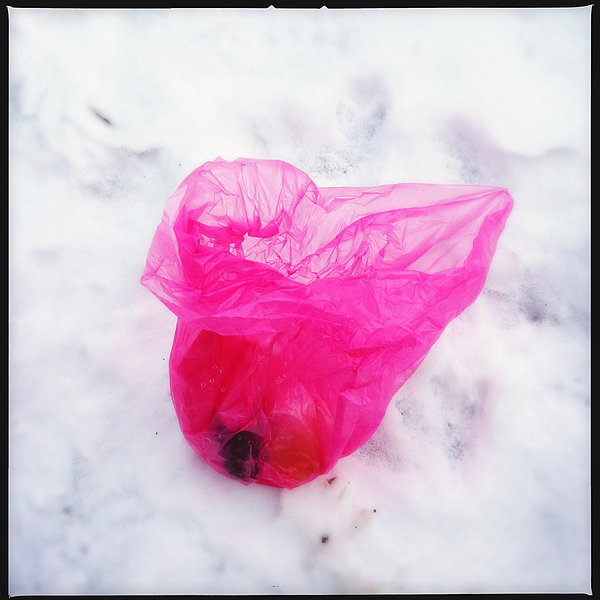 Pink plastic bag lying on white snow Greeting Card by Matthias Hauser