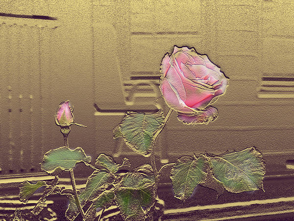 Steve Karol - Pink Rose In Gold Leaf