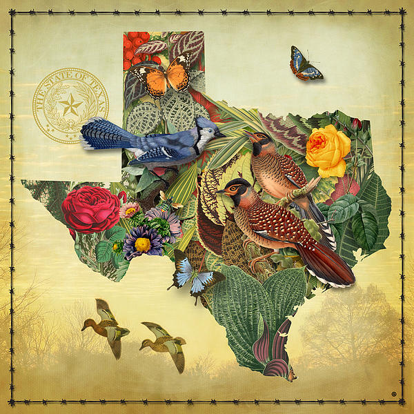 Gary Grayson - Nature Map of Texas