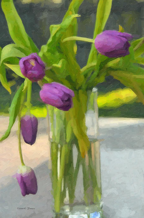 Kenny Francis - Purple Tulips