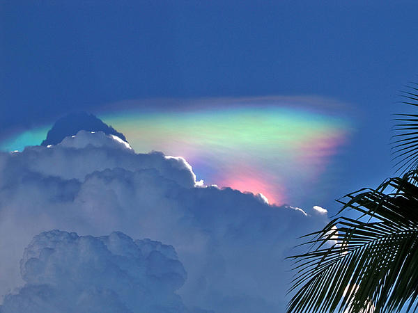 Susan Huckins - Rainbow in the Clouds