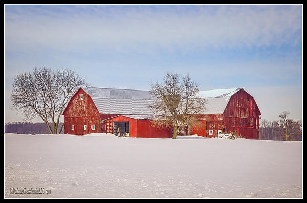 Red Barn Jeddo Michigan by LeeAnn McLaneGoetz McLaneGoetzStudioLLCcom