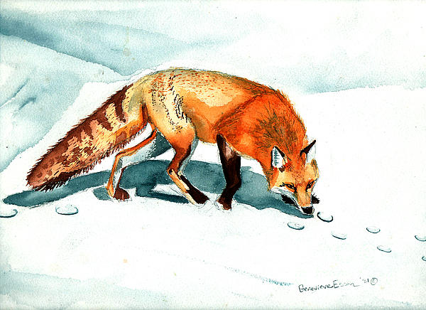 Genevieve Esson - Red Fox