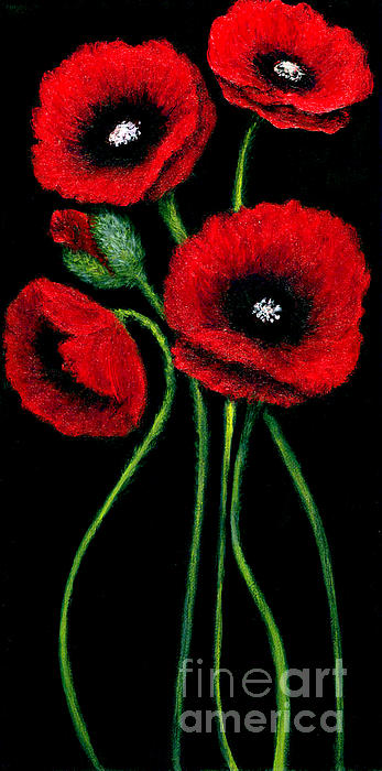 C Fanous - Red Poppies on Black