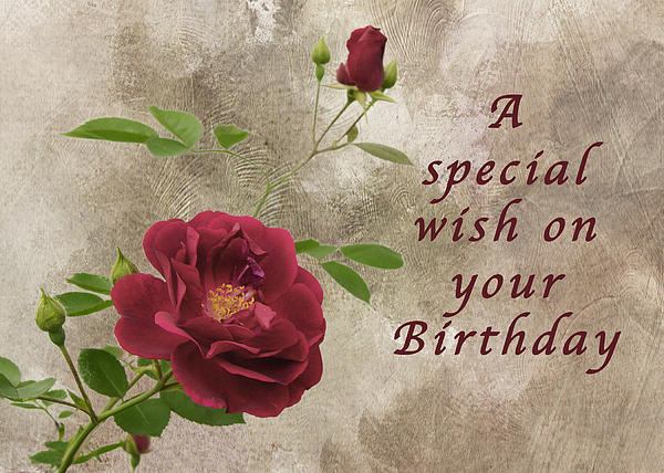red roses images with birthday quotes