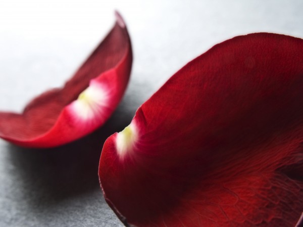 close up of red rose petals, Stock image