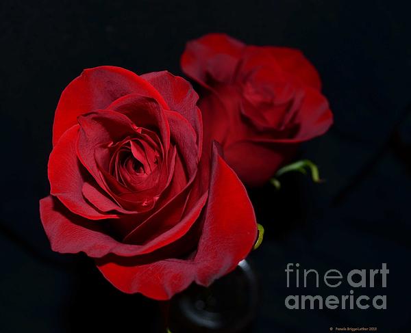 Luther Fine Art - Red Roses for a Blue Lady