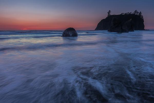 Olympic National Park Art