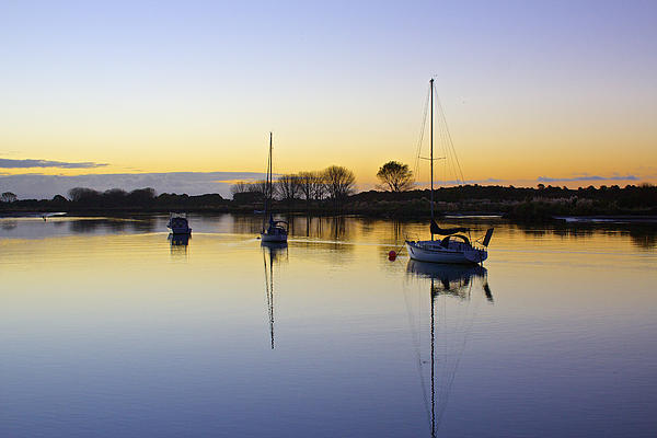 Sailboats In Whakatane At Sunset by Venetia Featherstone-Witty