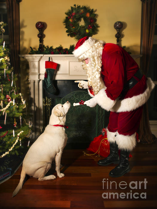 can santa give you a dog for christmas