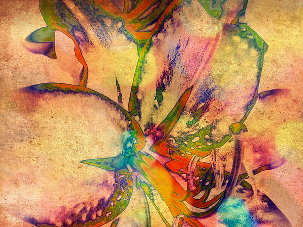 Femina Photo Art By Maggie - Springtime Floral Abstract