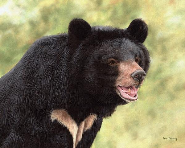 Simba Moon Bear - In support of Animals Asia Greeting Card by Rachel  Stribbling