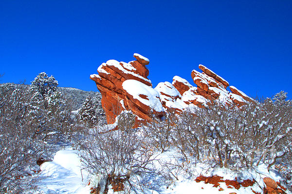 Winter Art
