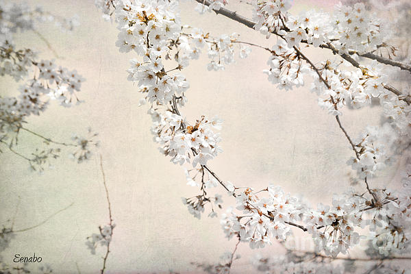 Spring Art