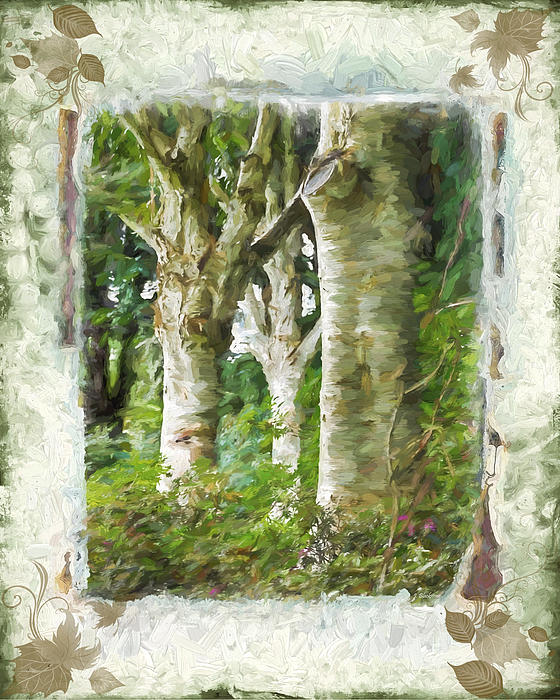Spring Photographs