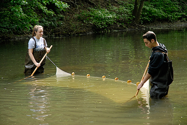 Students Using A Seine Net To Sample T-Shirt by Martin Shields