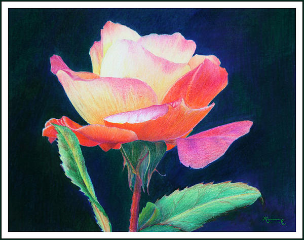 Mariarosa Rockefeller - Sunlit Rose