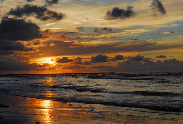 Beach Photographs