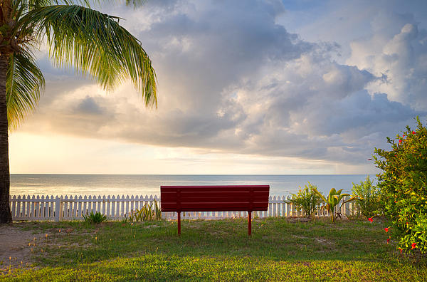 Sunset Bench by Top Tank Zievinger Pixels Ferry -