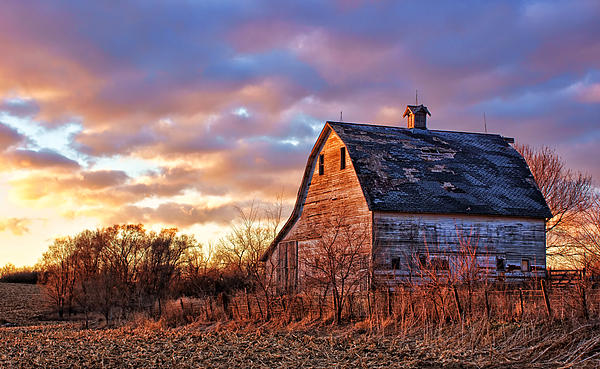 https://images.fineartamerica.com/images-medium-5/sunset-in-the-country-nikolyn-mcdonald.jpg