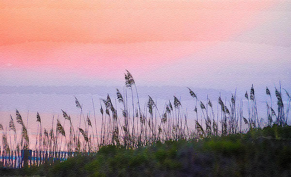 Sunset Art