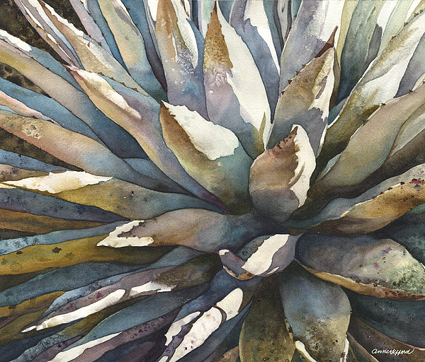 Anne Gifford - Sunstruck Yucca