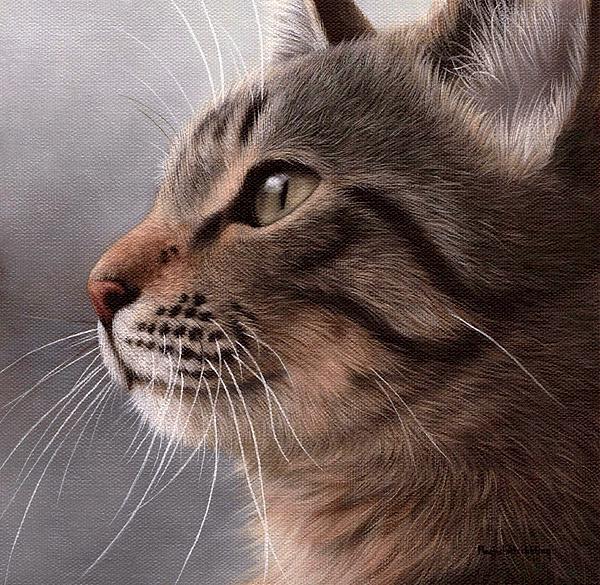 tabby-cat-painting-rachel-stribbling.jpg