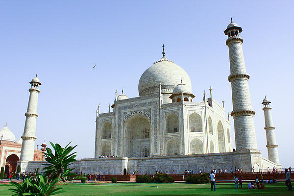 Taj Mahal In The Morning by Ashwin Dixit