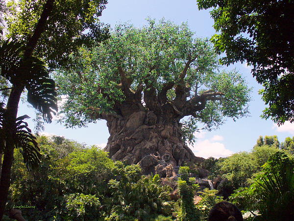 Lingfai Leung - The Amazing Tree of Life 