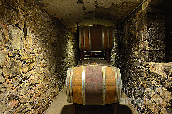 Luther Fine Art - The Biltmore Estate Wine Barrels