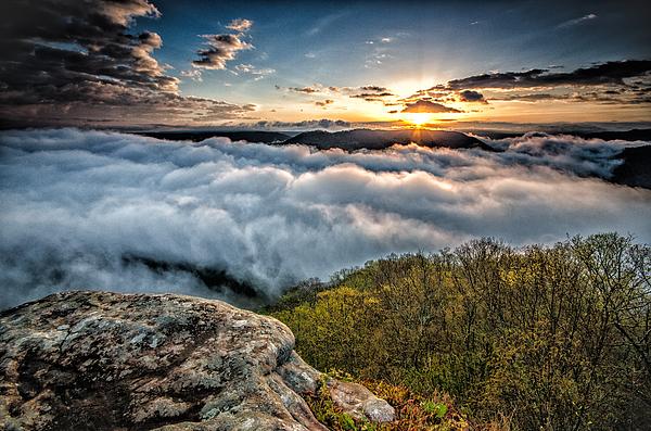 Michael Bowen - The golden hour above the clouds on top of a mountain in West Virginia during sunrise.