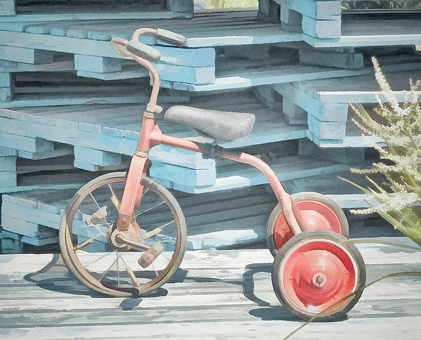 Steve Taylor - The Joy of Tricycles