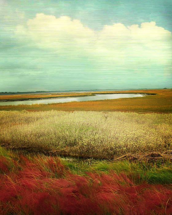 Amy Tyler - The Low Country