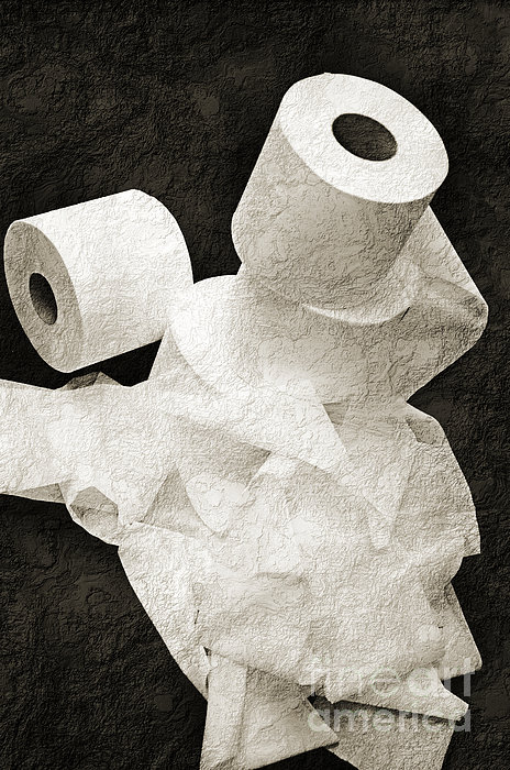 The Spare Rolls 2 - Toilet Paper - Bathroom Design - Restroom - Powder Room  Photograph by Andee Design - Pixels
