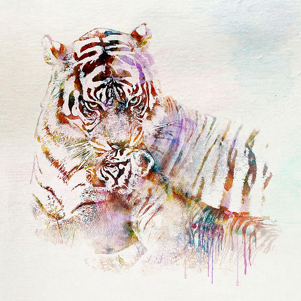 Marian Voicu - Tiger with Cub watercolor