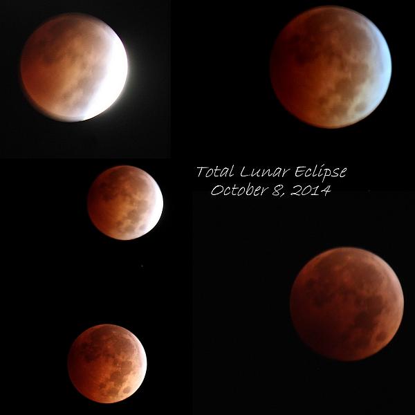 Total Lunar Eclipse Stages Collage by Rosanne Jordan