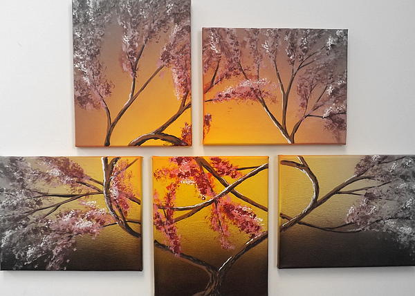 Tree Photographs