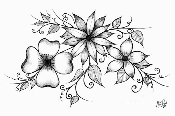 easy pencil drawings of flowers and vines