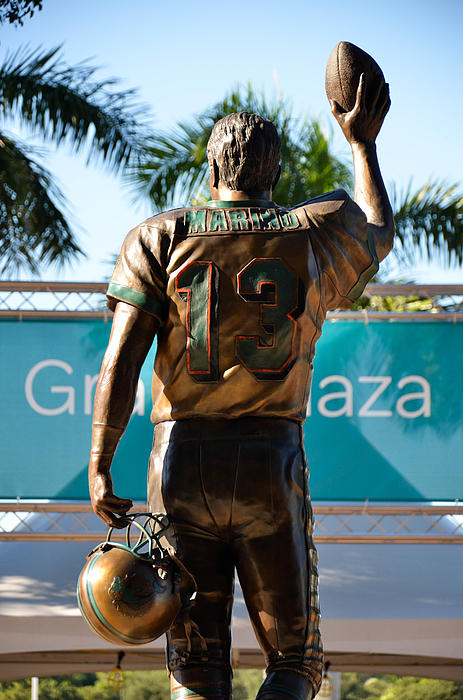 Dan Marino Canvas Prints & Wall Art for Sale - Fine Art America