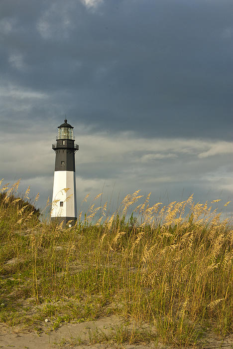 Beach Photographs