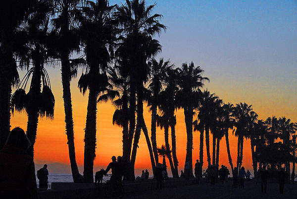 Lynn Bauer - Ventura Boardwalk Silhouettes