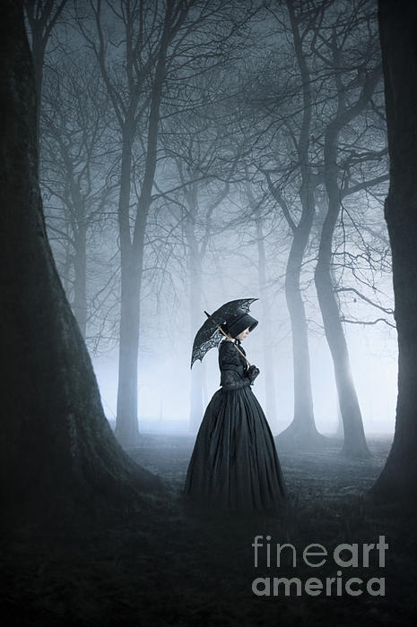 Dark Victorian Dress