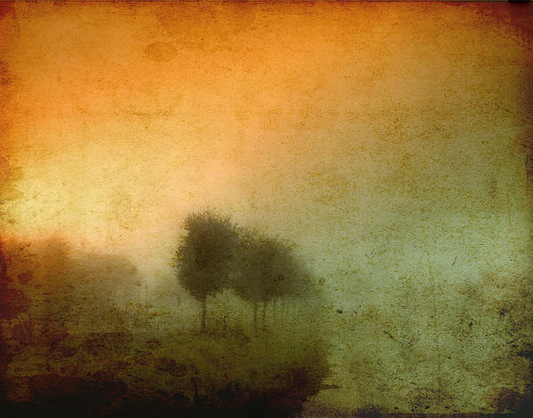 Vintage Photographs