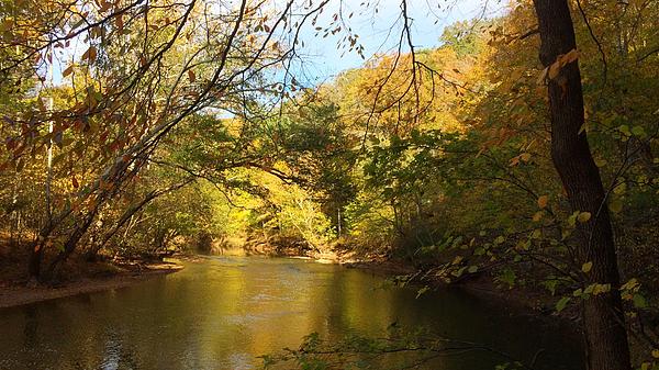 Virginia Creek In Fall Galaxy S5 Case for Sale by Anna Willard