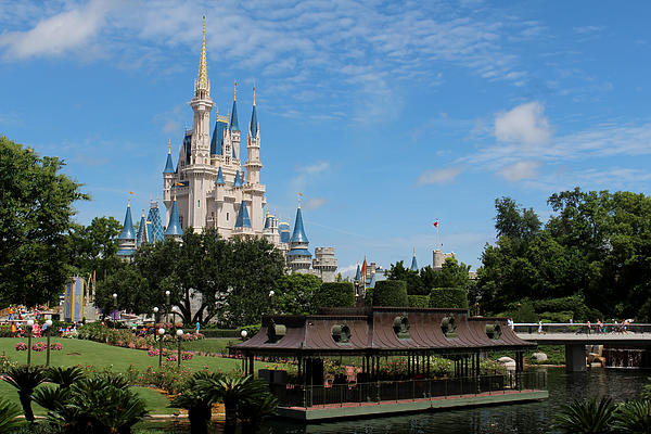 Walt Disney World Castle Painting by Gull G - Pixels