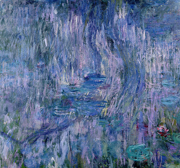 https://images.fineartamerica.com/images-medium-5/waterlilies-and-reflections-of-a-willow-tree-claude-monet.jpg