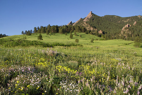 Chautauqua Trail Wooden Jigsaw Puzzle