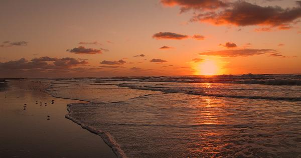 David Dehner - Wildwood Beach Sunrise II