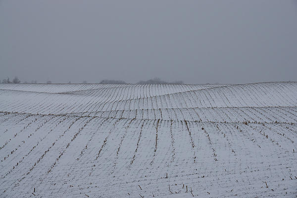 Georgia Mizuleva - Winter Farm Fields - Rolling Hills on a Bleak Snowy Day